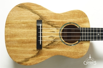 Romero Concert Spalted Mango